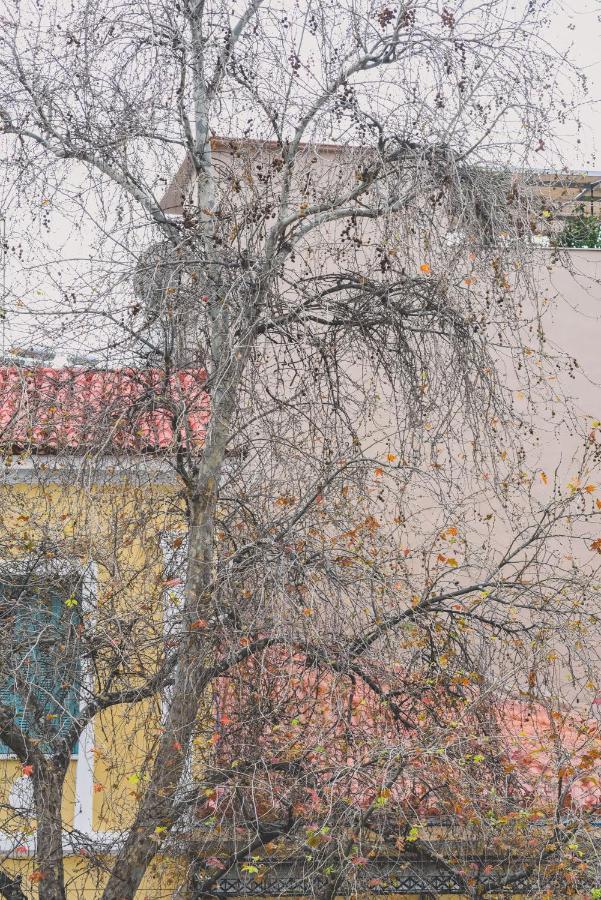 Neoclassical Apartment Near Acropolis - Livingstone Crystal 雅典 外观 照片